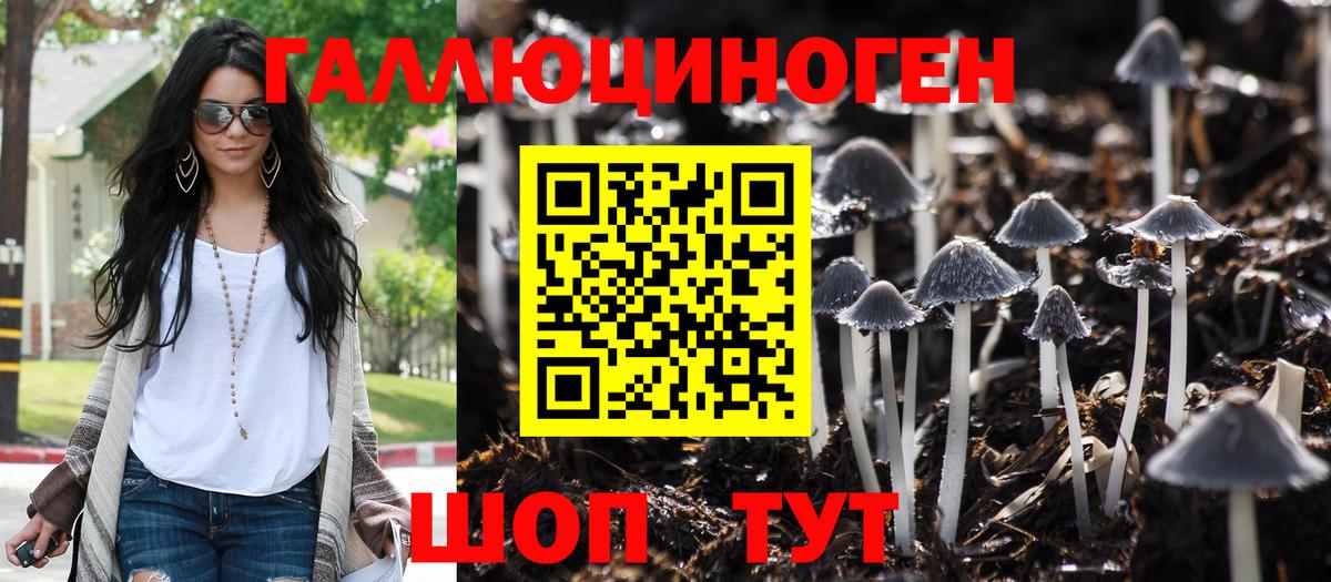 Псилоцибиновые грибы Psilocybe  Вход с VPN  Псилоцибиновые грибы GOLDEN TEACHER  Строитель 